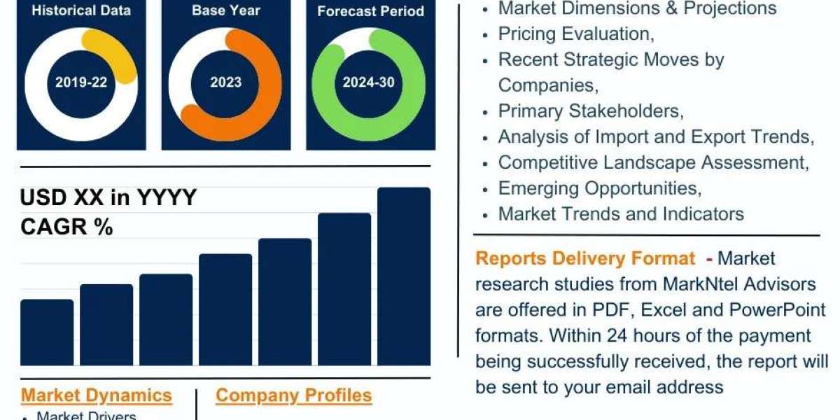 Future Projections for the Brazil 5G Smartphone Market: Trends, Size, and Demand Report