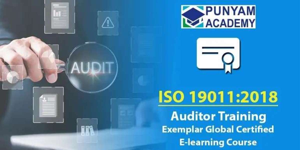 ISO 19011 Auditor Course — Enroll Now and Get Certified with Punyam Academy