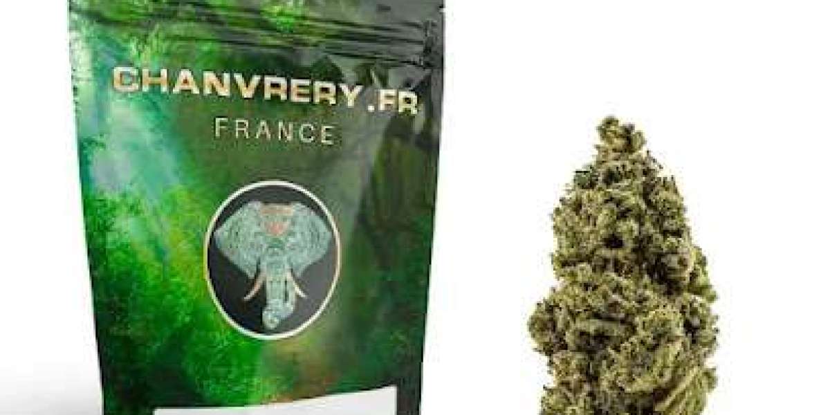 CBD Toulouse : Où Trouver les Meilleurs Produits ?