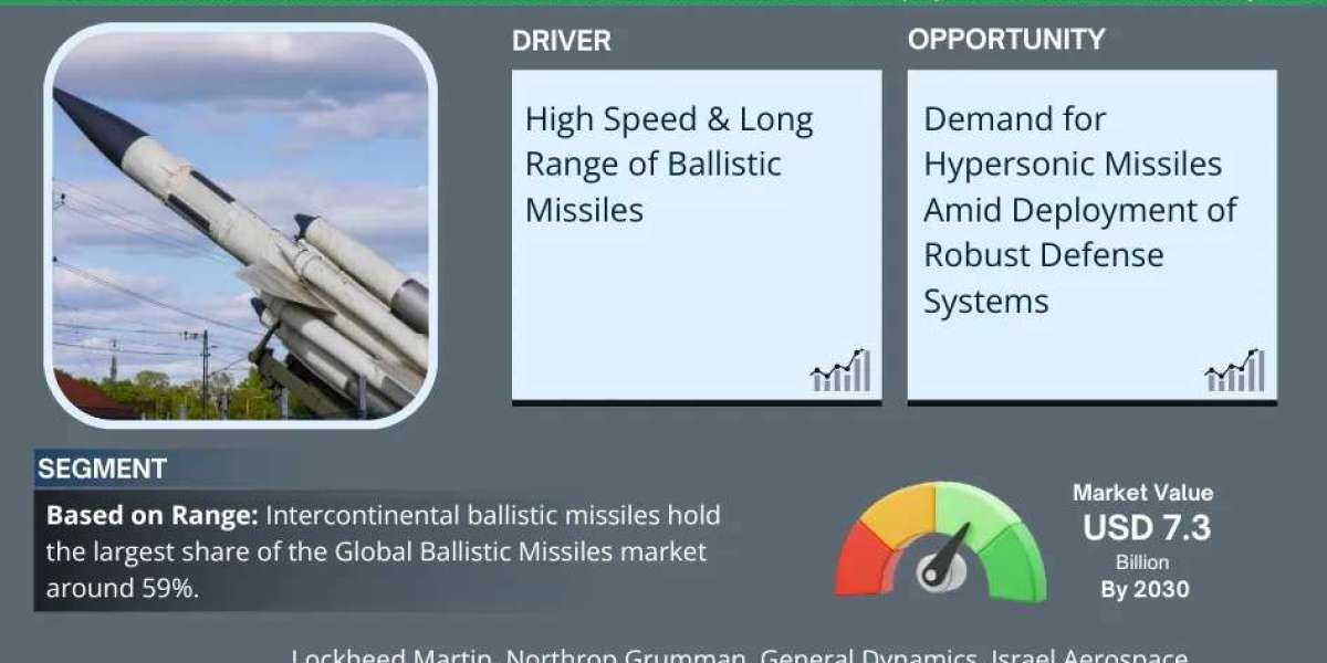 Global Ballistic Missiles Market Comprehensive Analysis and Forecast 2025 to 2030