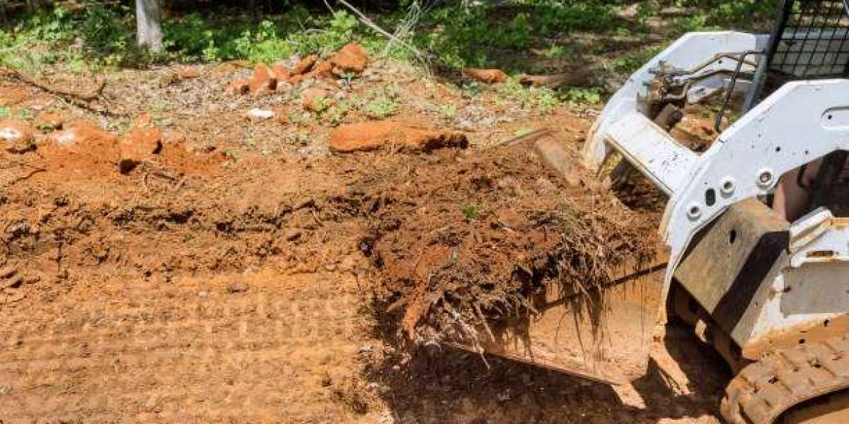 Residential Land Clearing in Conroe: A Comprehensive Guide