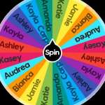 Wheel Spinner