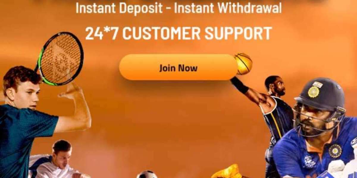 Upgrade Your Betting with Tiger Exchange VIP