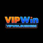 VIPWIN Business