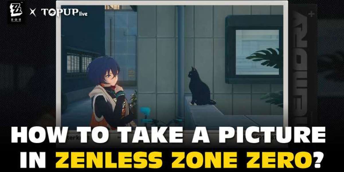 How to Take A Picture In Zenless Zone Zero: A Detailed Guide with Pictures