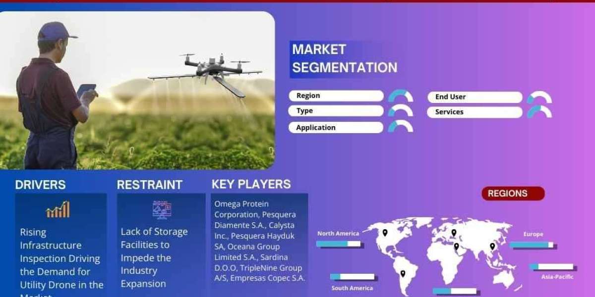 Utility Drone Market Growth and Development Insight - Size, Share, Growth, and Industry Analysis - MarkNtel Advisors