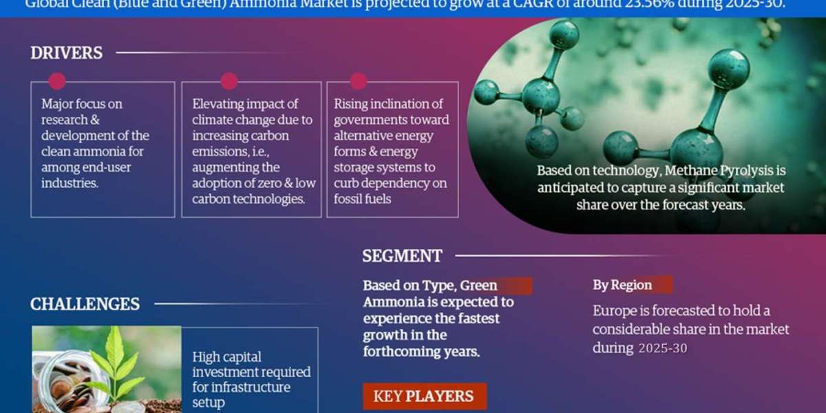 Clean Ammonia (Blue and Green) Market Share, Size and Future Projections 2025-30