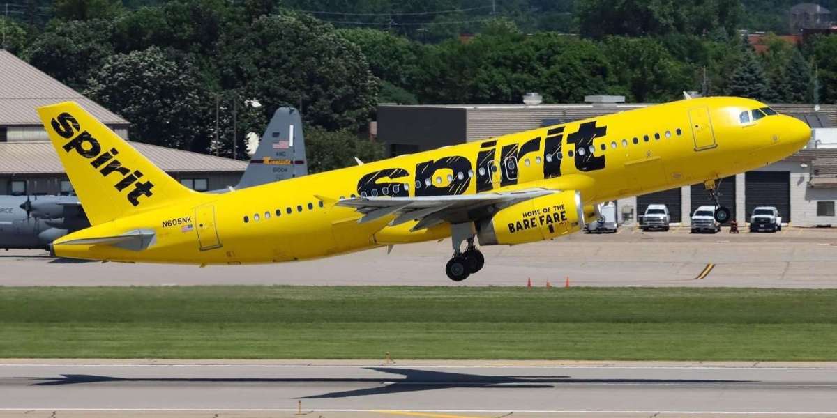 Spirit Airlines Chicago Office in Illinois: Your Go-To Resource for Hassle-Free Travel