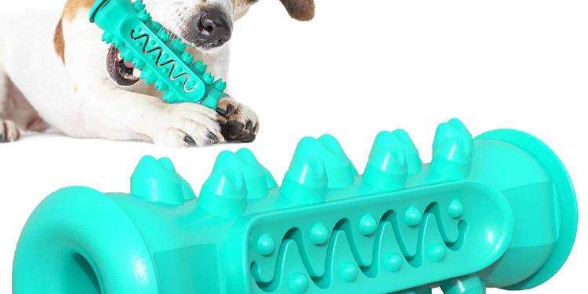 How to Make Your Pet's Food Bowl Clean and Safe