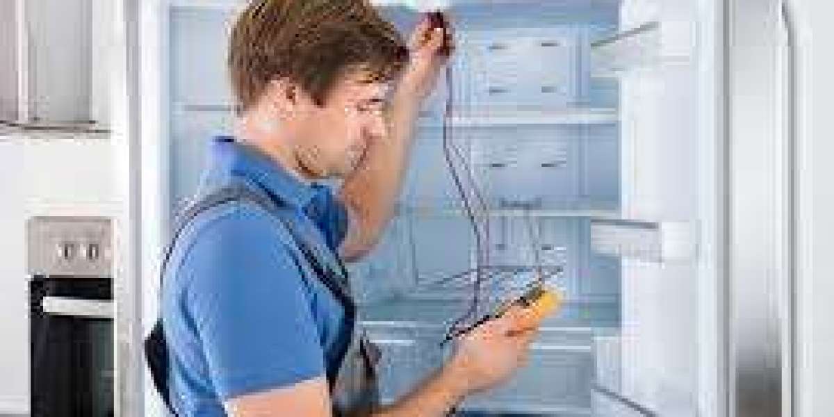 The Ultimate Guide to Choosing a Reliable Fridge Repair Service in Toronto