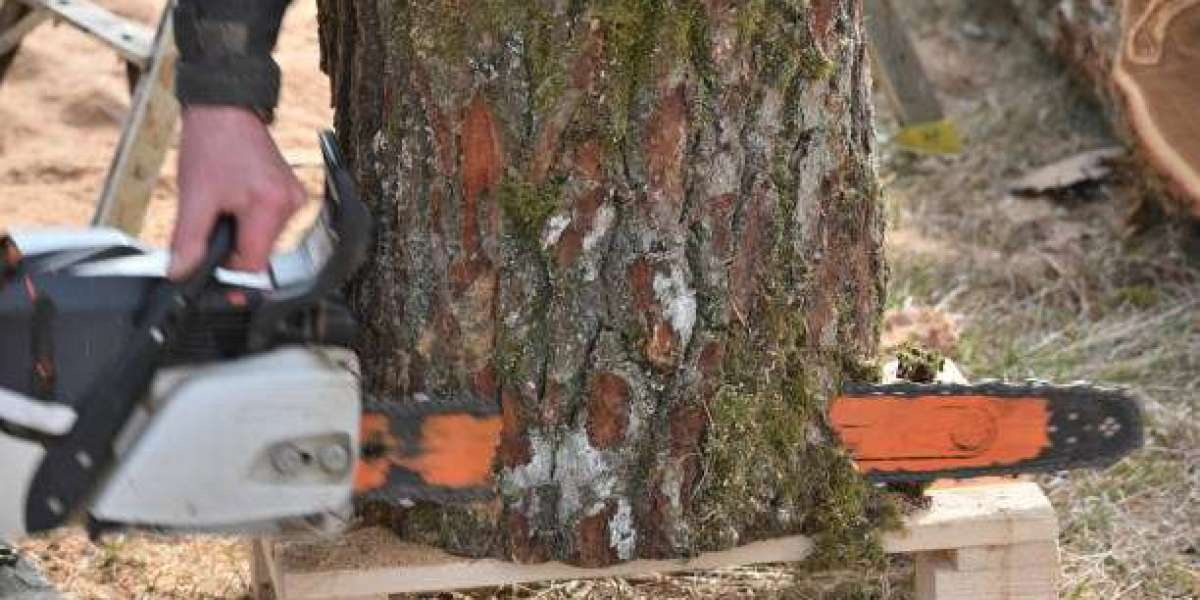 Hiring a Tree Removal Service Near You: What You Need to Know