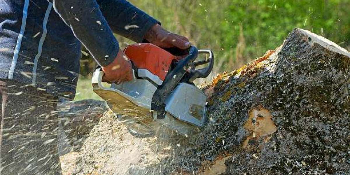 Tree and Stump Removal: A Complete Guide