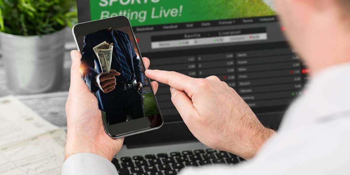 Guide to Choosing Sports Betting Software Developers in India