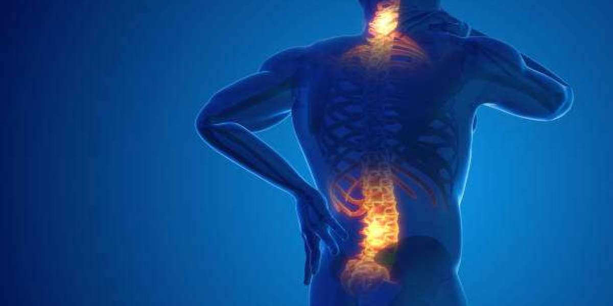 Back Pain Management Guide: Everyday Habits to Avoid Pain