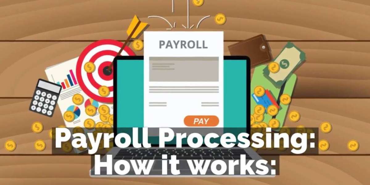 Why Should You Choose Xact Payroll for Your Company?