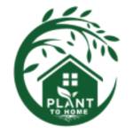 plant to home