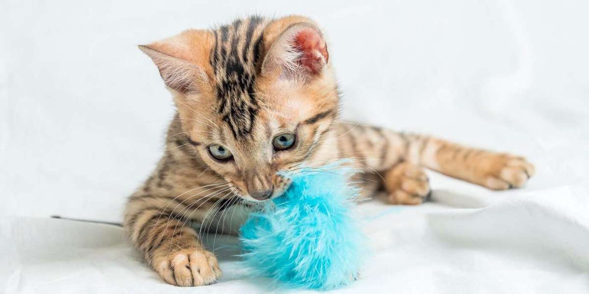 Understanding Cat Hairballs: Causes, Prevention, and Remedies